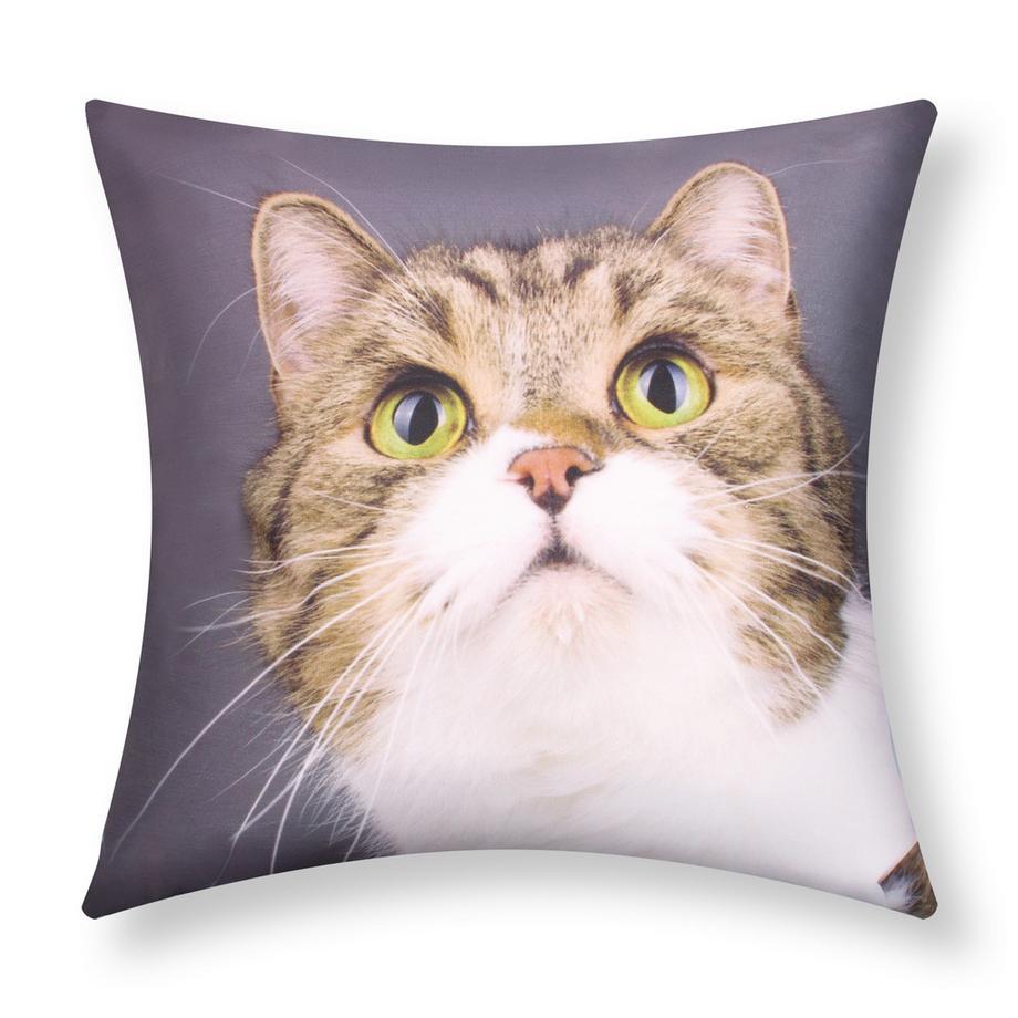 2 Stk. Kissenbezüge Katze Schnurrhaare