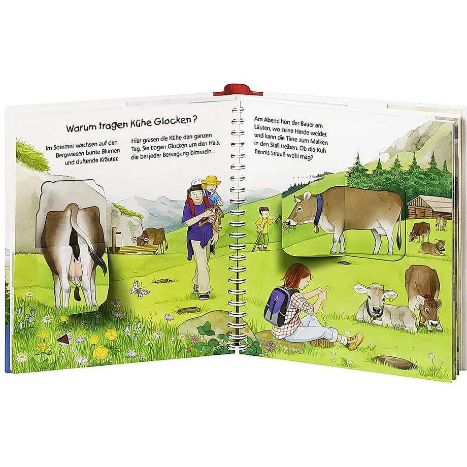 Wieso? Weshalb? Warum? junior, Band 42: In den Bergen Erne, Andrea; Ebert, Anne (Illustrationen) Gebundene Ausgabe 