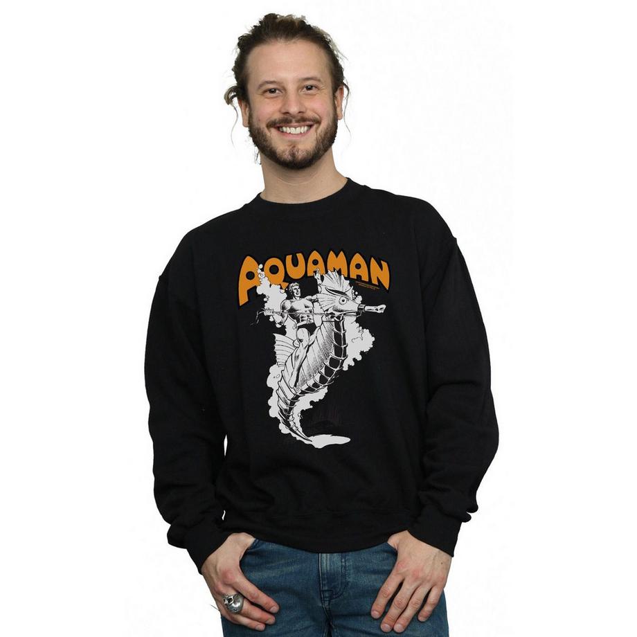 DC COMICS Aquaman Seepferd Sweatshirt  