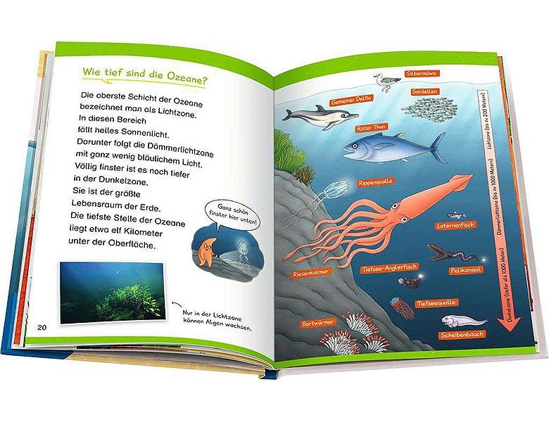 Wieso? Weshalb? Warum? Erstleser Ozeane (Nr.8) Carola Kessel Couverture rigide 