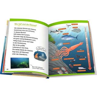 Wieso? Weshalb? Warum? Erstleser Ozeane (Nr.8) Carola Kessel Couverture rigide 