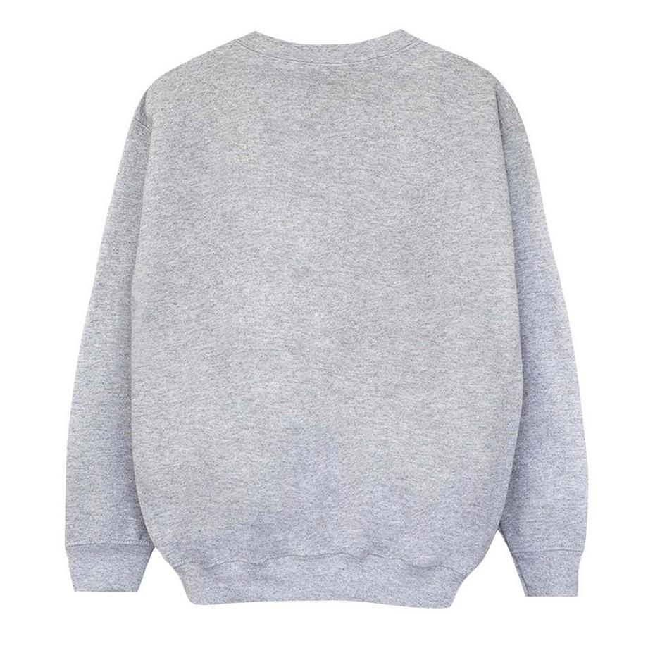 Disney  Toy Story Evil Dr Pork Chop Sweatshirt 