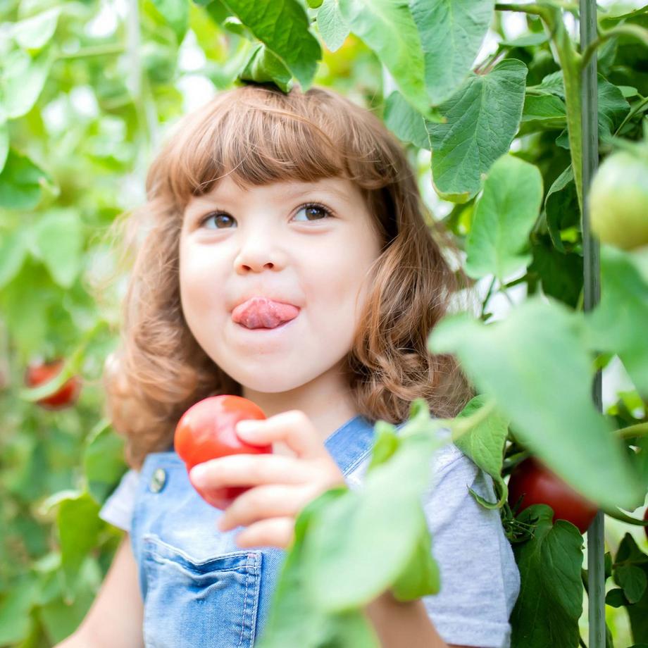 Northix  Pflanzstäbe 75 cm im 10er Set 