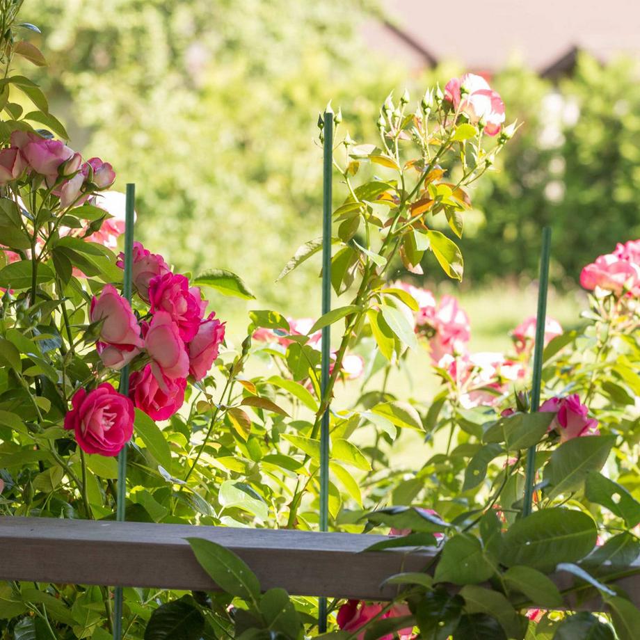 Northix  Pflanzstäbe 75 cm im 10er Set 