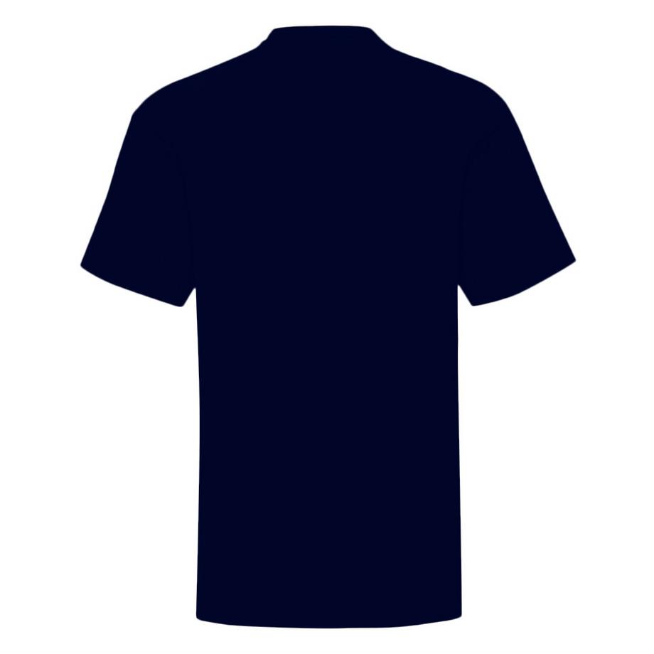 CAPTAIN AMERICA Bouclier Imprimé Graphique T-Shirt  