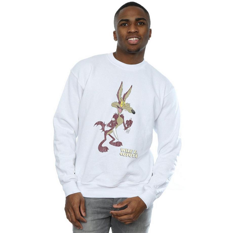 LOONEY TUNES Wile E Coyote Sweatshirt  