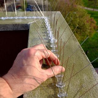 B2X Vogelabwehr-Spikes, 6er-Set  