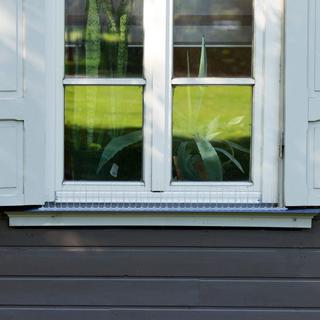 B2X Vogelabwehr-Spikes, 6er-Set  