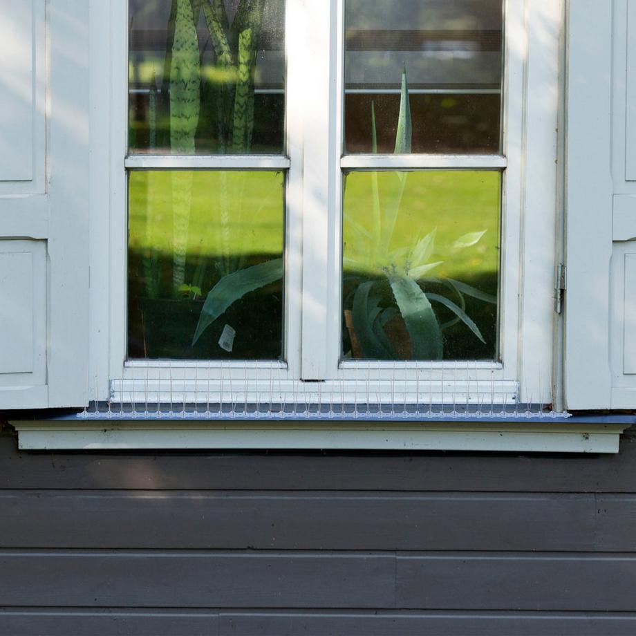 B2X Vogelabwehr-Spikes, 6er-Set  