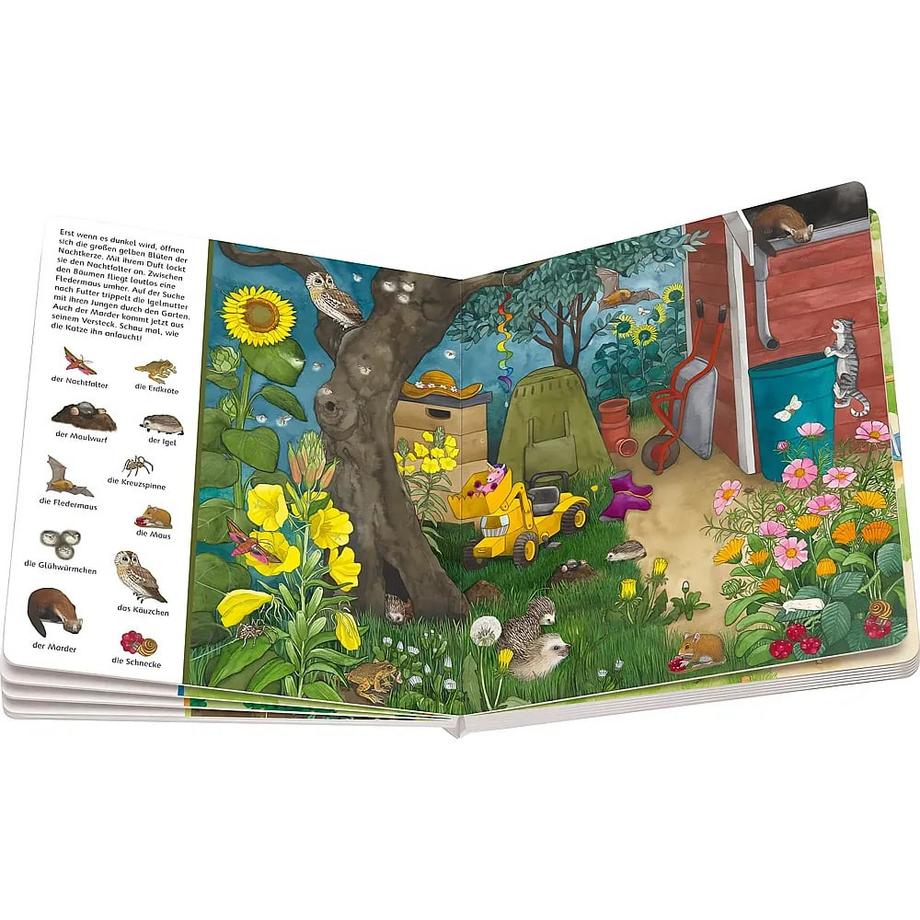 Mein großes Sachen suchen: Bei uns im Garten Gernhäuser, Susanne; Ebert, Anne (Illustrationen) Gebundene Ausgabe 