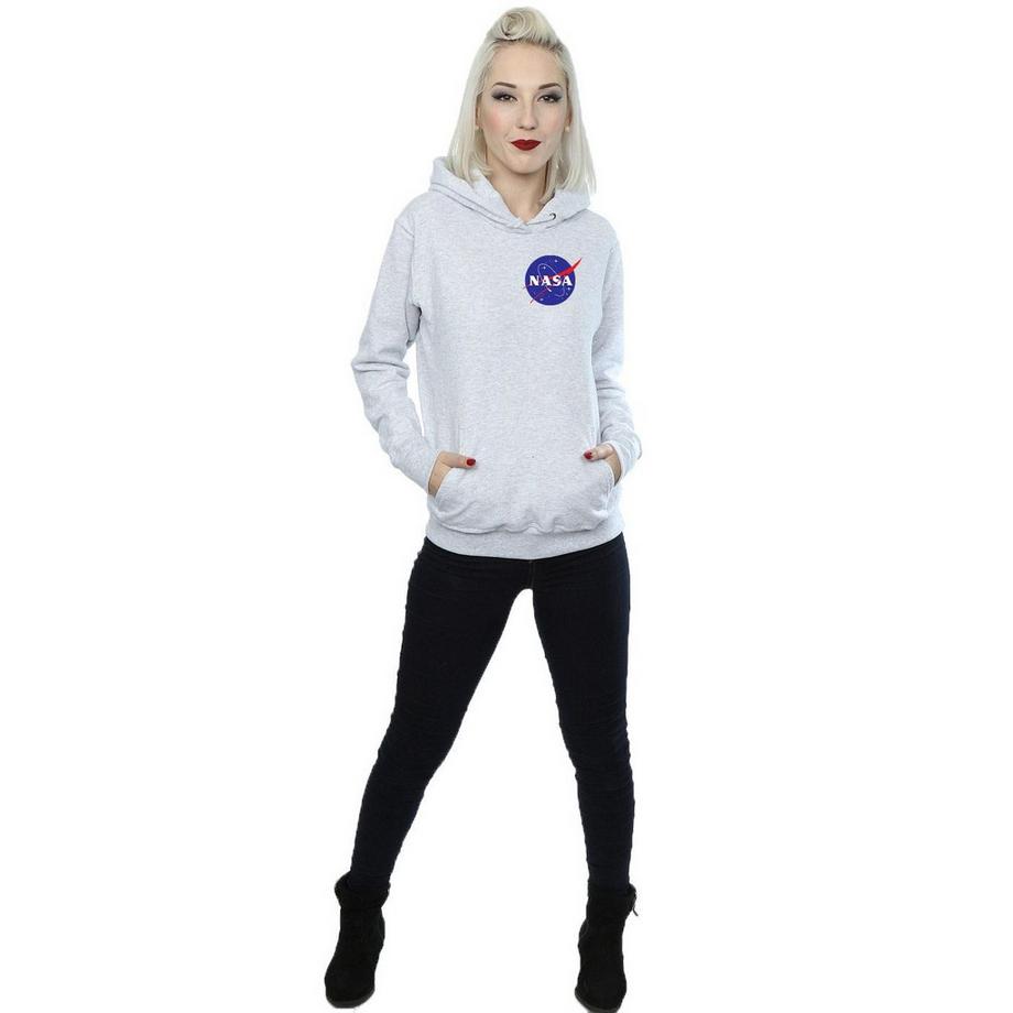 Nasa Logo Hoodie Regular Fit  