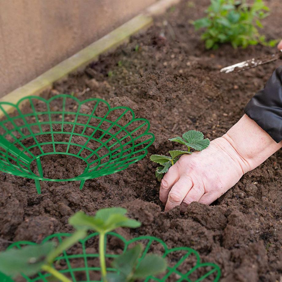 Northix Erdbeerstütze im Set  