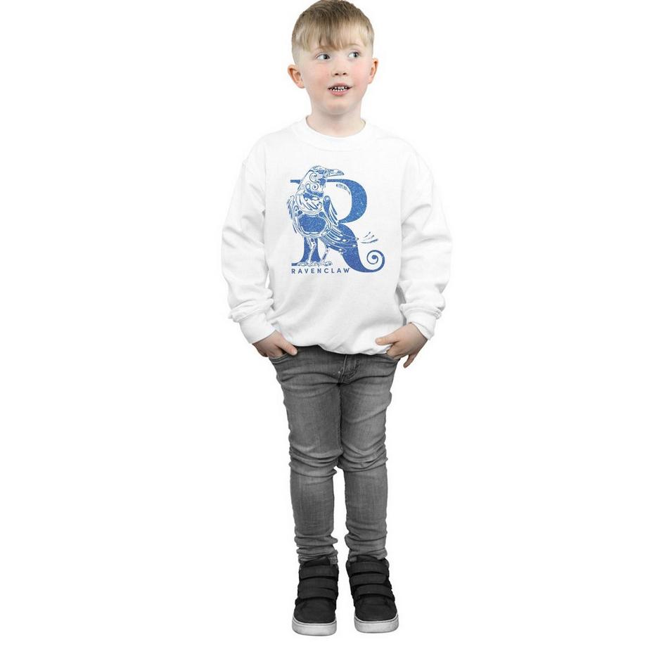 HARRY-POTTER  Sweat RAVENCLAW 