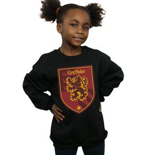 Harry Potter  Sweat GRYFFINDOR 