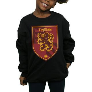 Harry Potter  Sweat GRYFFINDOR 