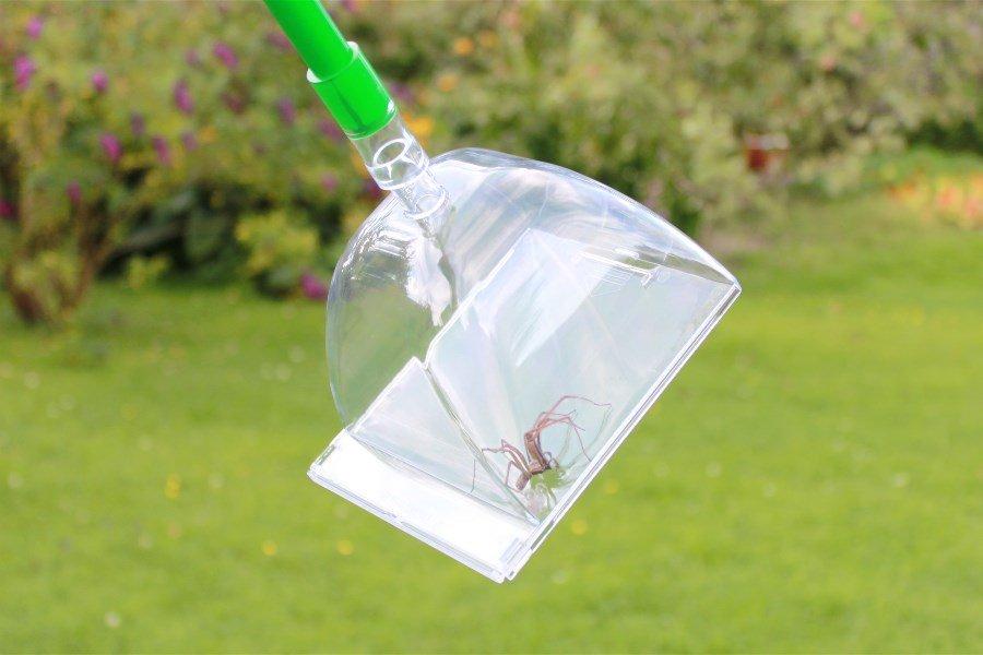 Katcha Insektenfänger Big Bug  