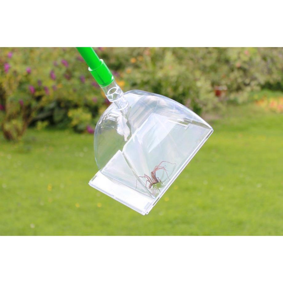 Katcha Insektenfänger Big Bug  