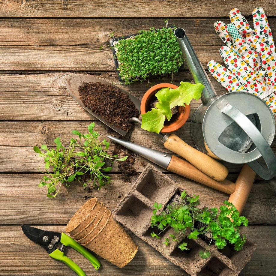 B2X Anzuchttöpfe 240 Stk.  