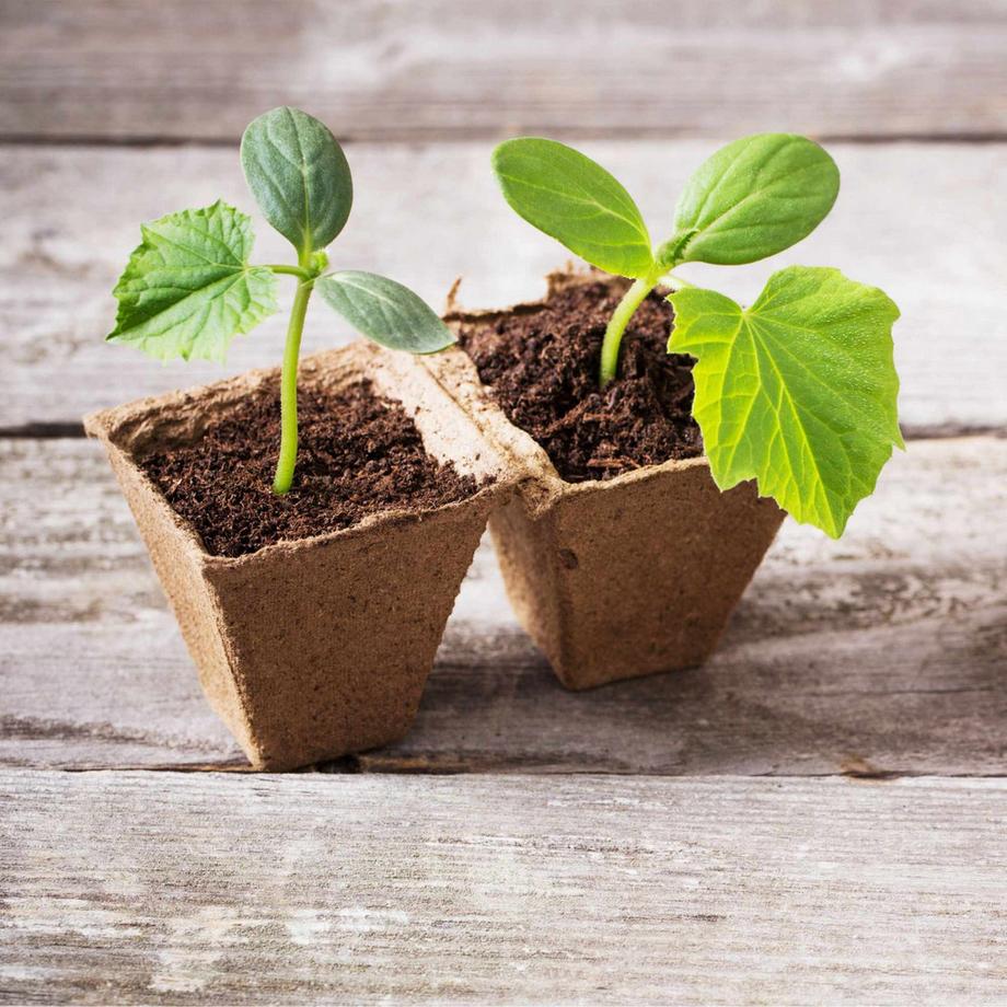 B2X Anzuchttöpfe 240 Stk.  