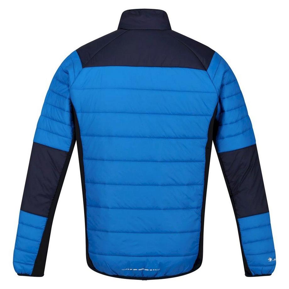 Regatta Halton VI Softshelljacke  