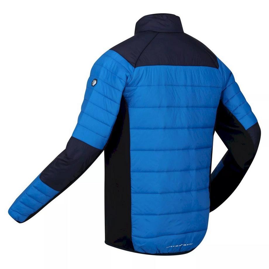 Regatta Halton VI Softshelljacke  