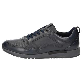 Sioux  Sneaker Rojaro-713 