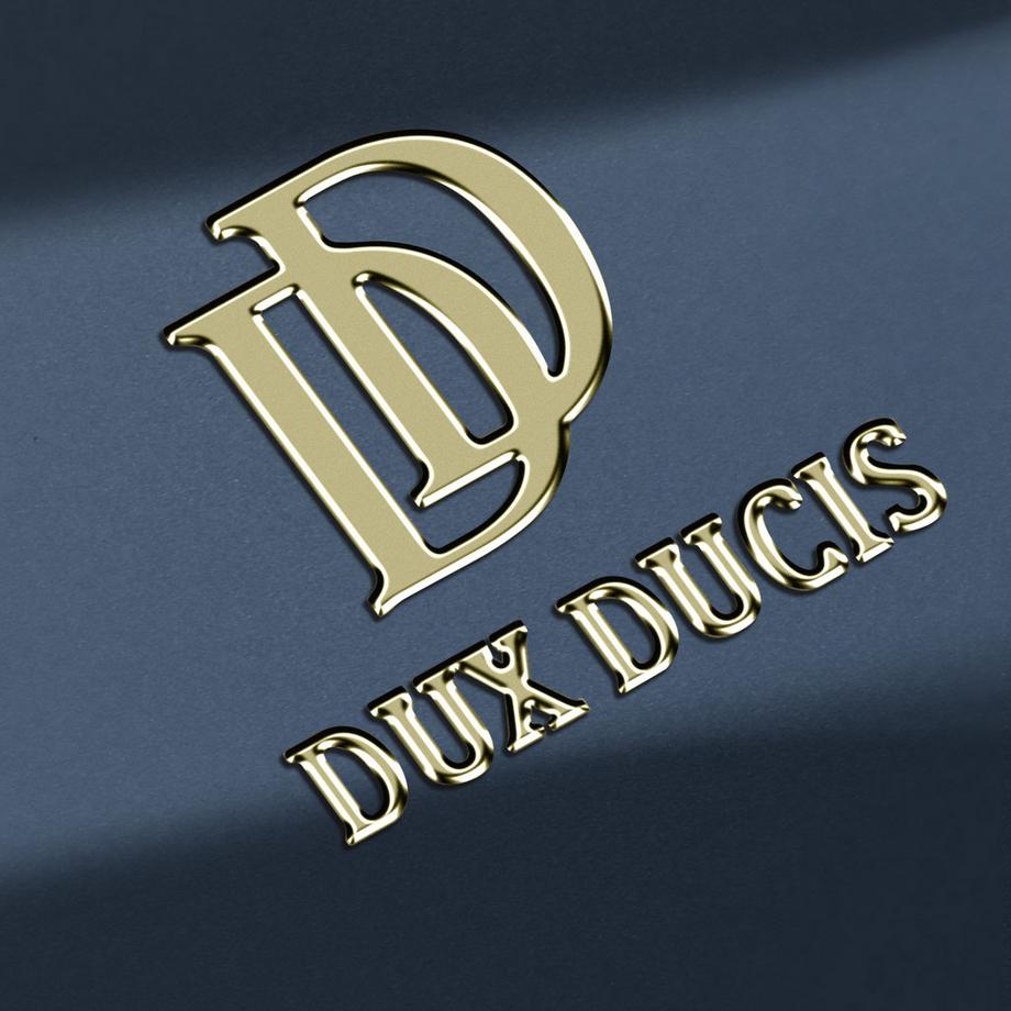 DuxDucis  Étui Xiaomi Redmi 13C Dux Ducis Bleu 