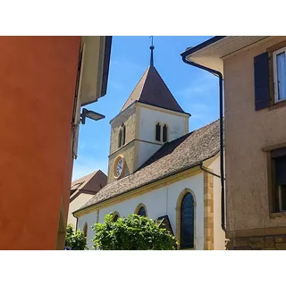 Smartbox  Giro in bicicletta con degustazione di vini nella regione di Neuchâtel - Cofanetto regalo 