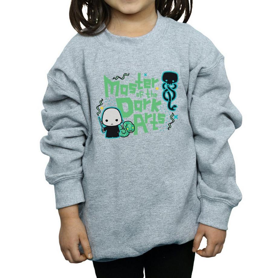 Harry Potter  Voldemort Dark Arts Junior Sweatshirt 