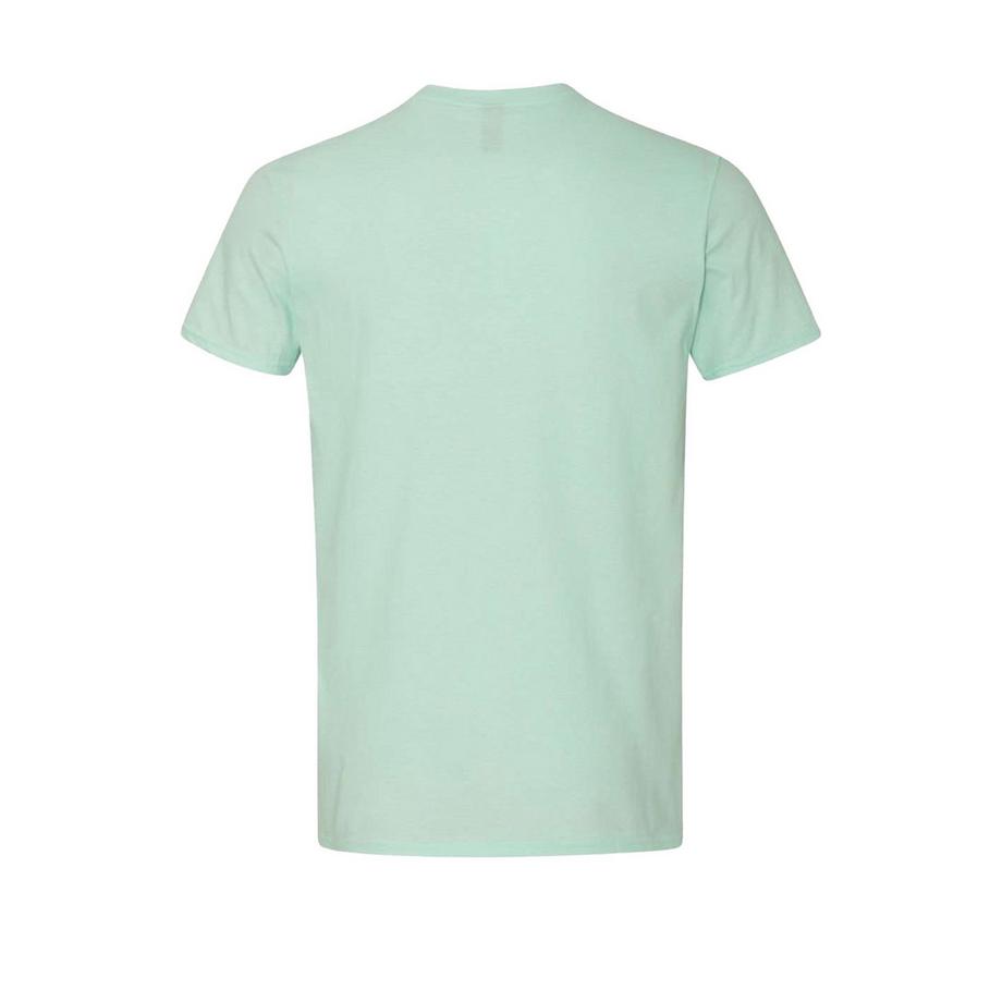 Gildan Softstyle T-Shirt  