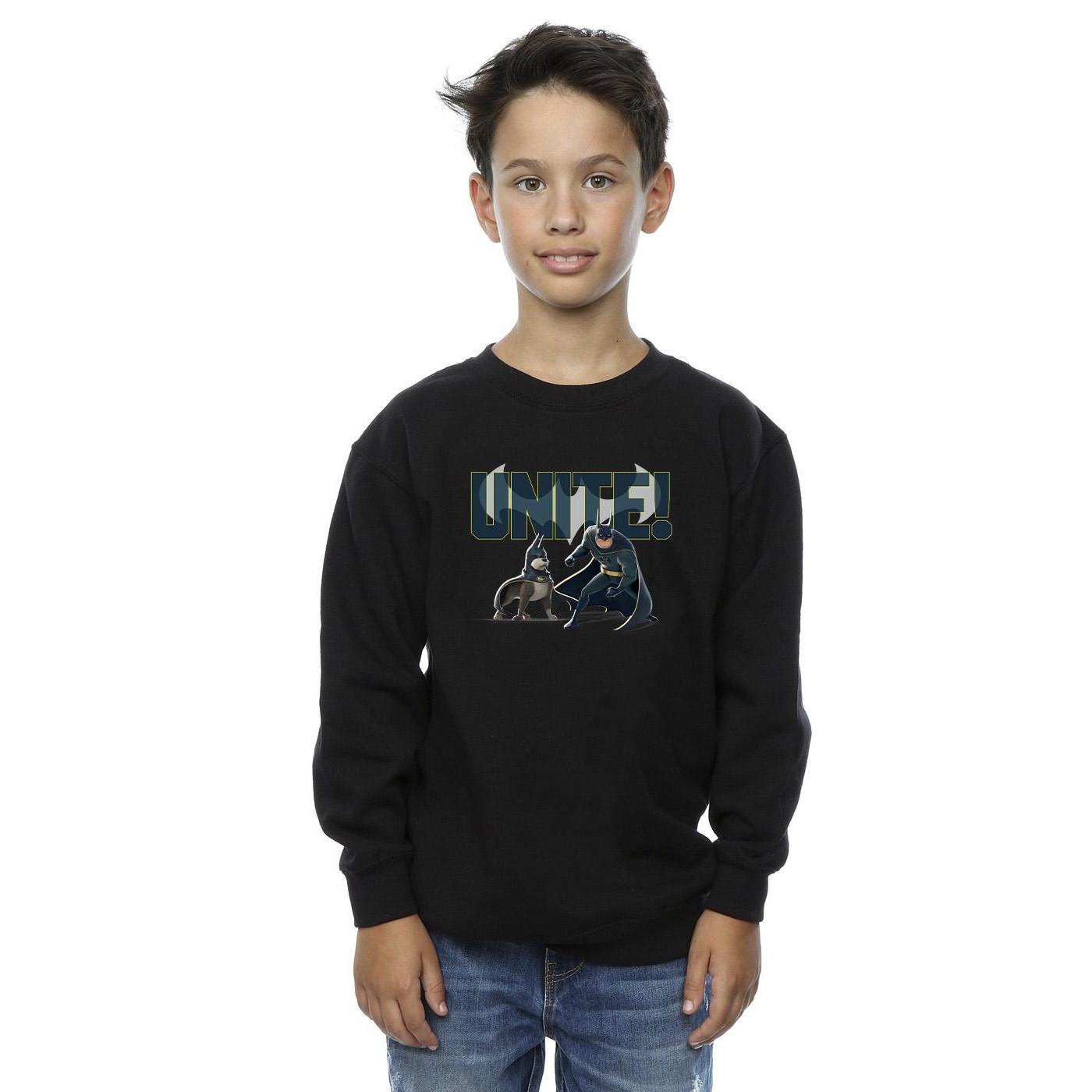 DC COMICS  DC League Of SuperPets Unite Pair Sweatshirt 