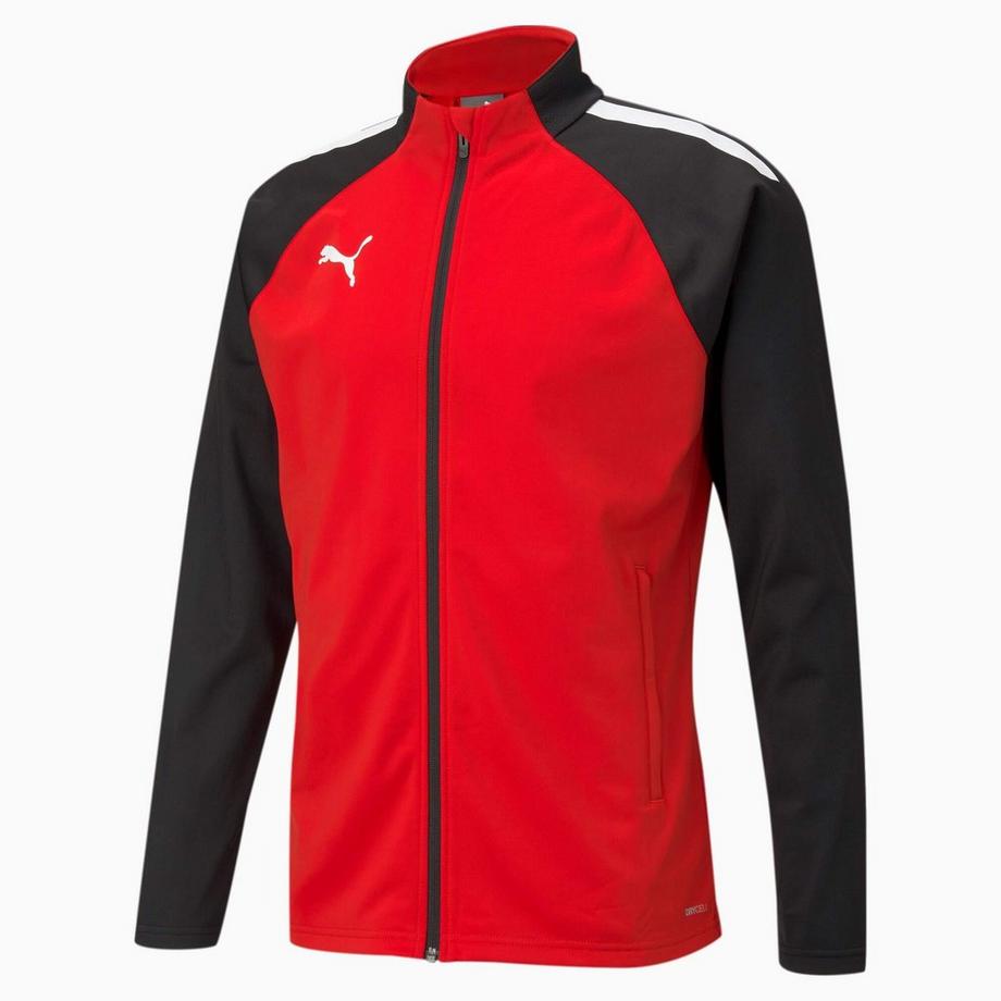 PUMA  jacke team iga training 