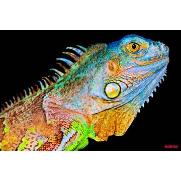 KOLMA Schreibunterlage 35.557.20 Chameleon 50x34cm