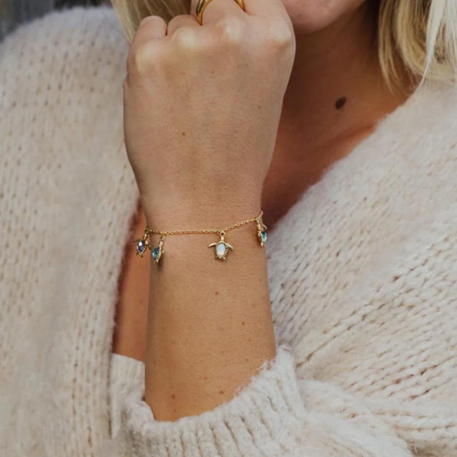 Paul Hewitt  PH-JE-1260 Turtle 