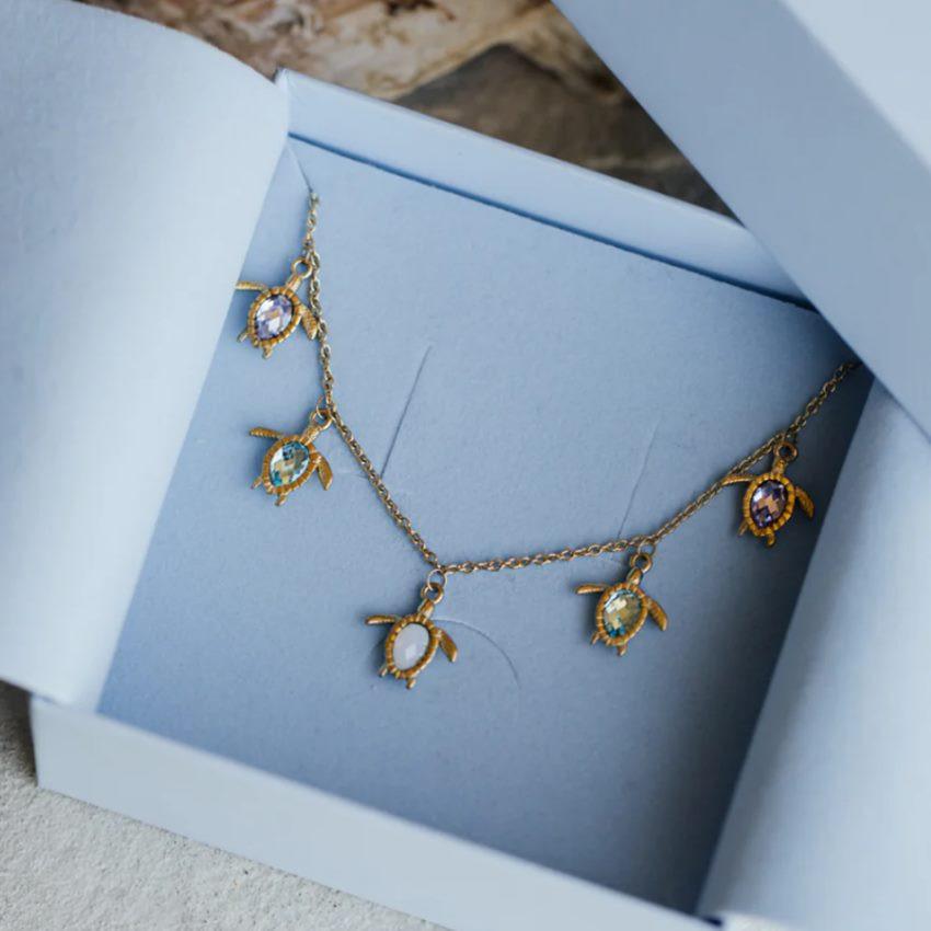 Paul Hewitt  PH-JE-1260 Turtle 