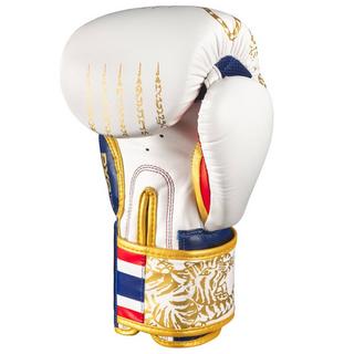 Phantom Athletics  Boxhandschuhe Muay Thai - Limited Edition 