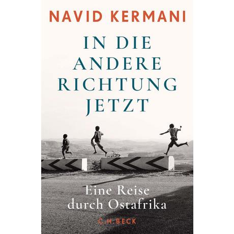 In die andere Richtung jetzt Kermani, Navid Gebundene Ausgabe 