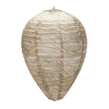 Dissuasion pour les Guêpes - Ruche