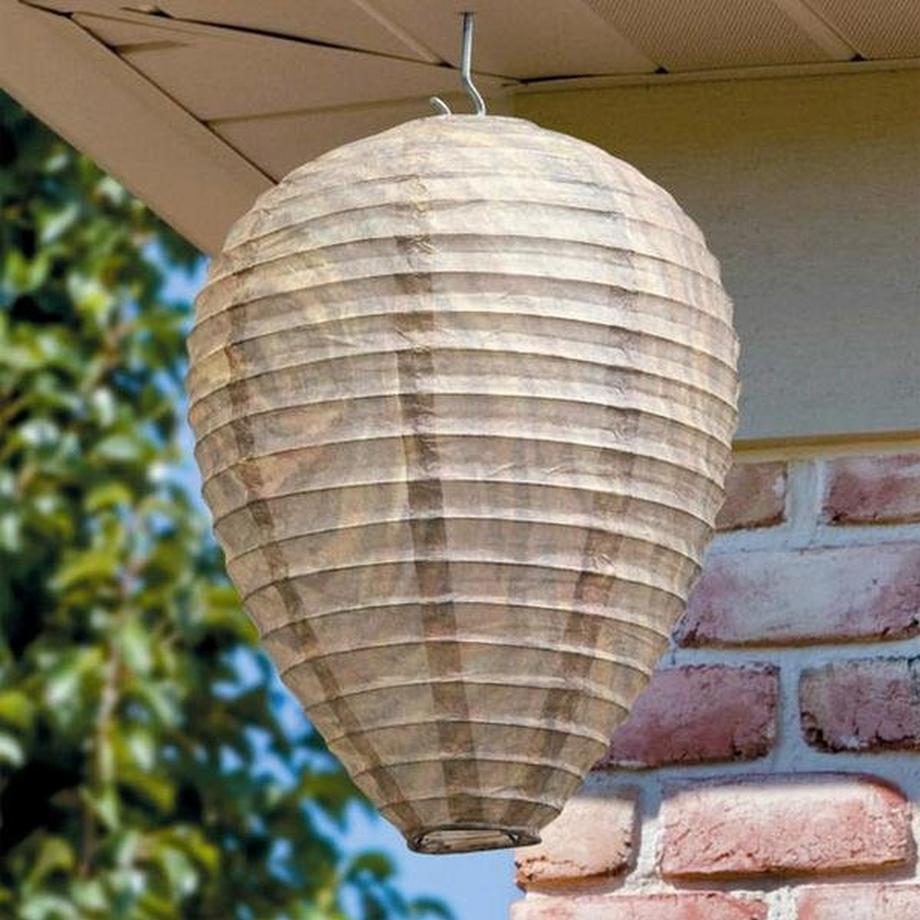 eStore Deterrente per le vespe - Alveare  