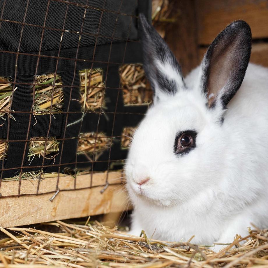 B2X  Heusack für Kleintiere 