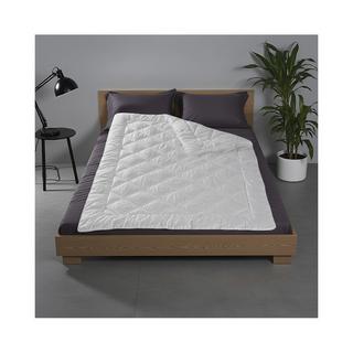 DORBENA VITALIS Couette toute saison  