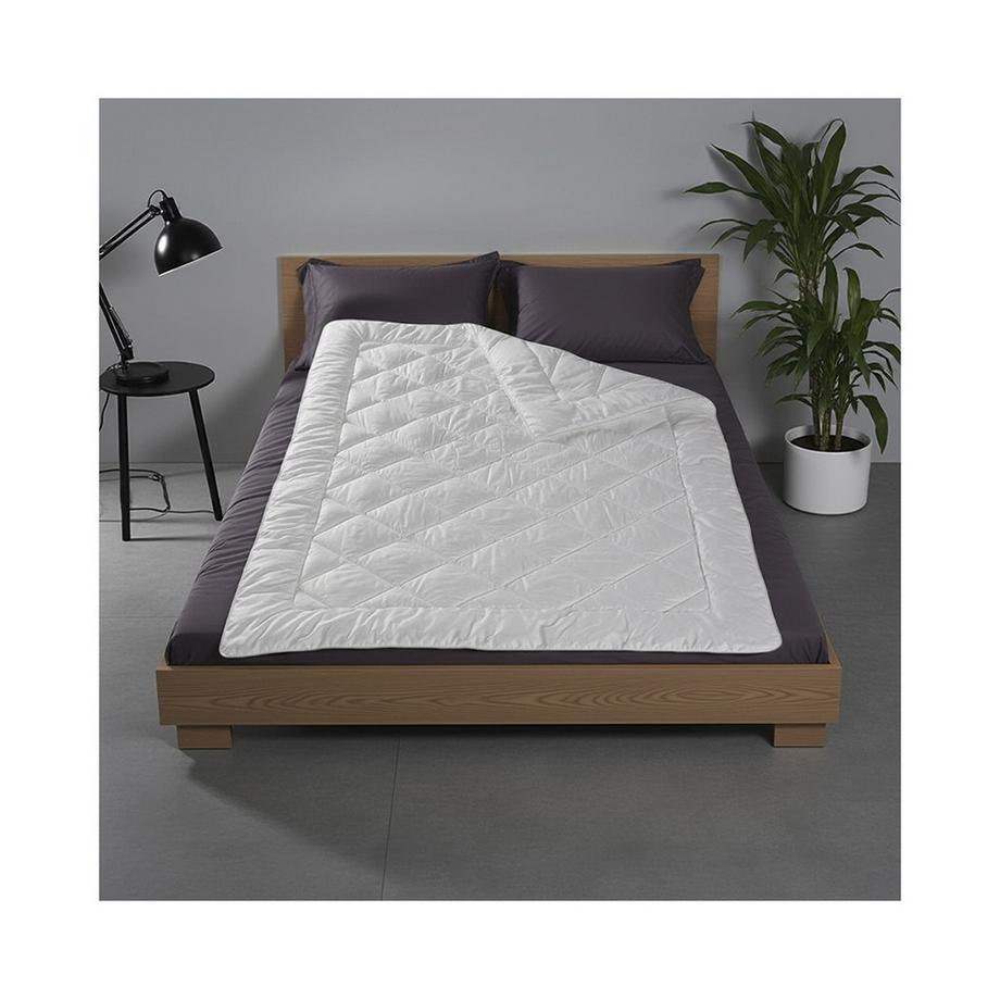 DORBENA VITALIS Couette toute saison  