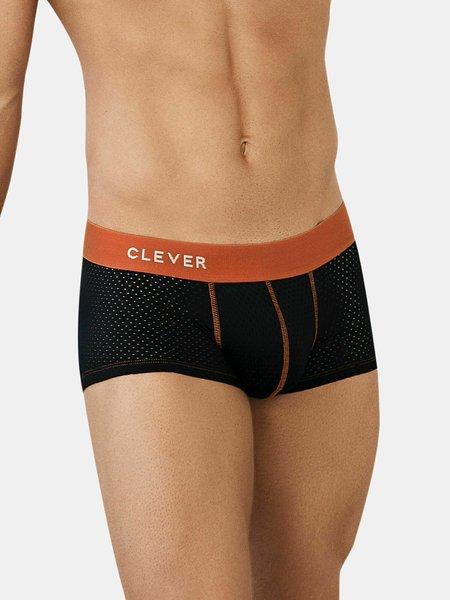 Clever  Boxer latin Line 