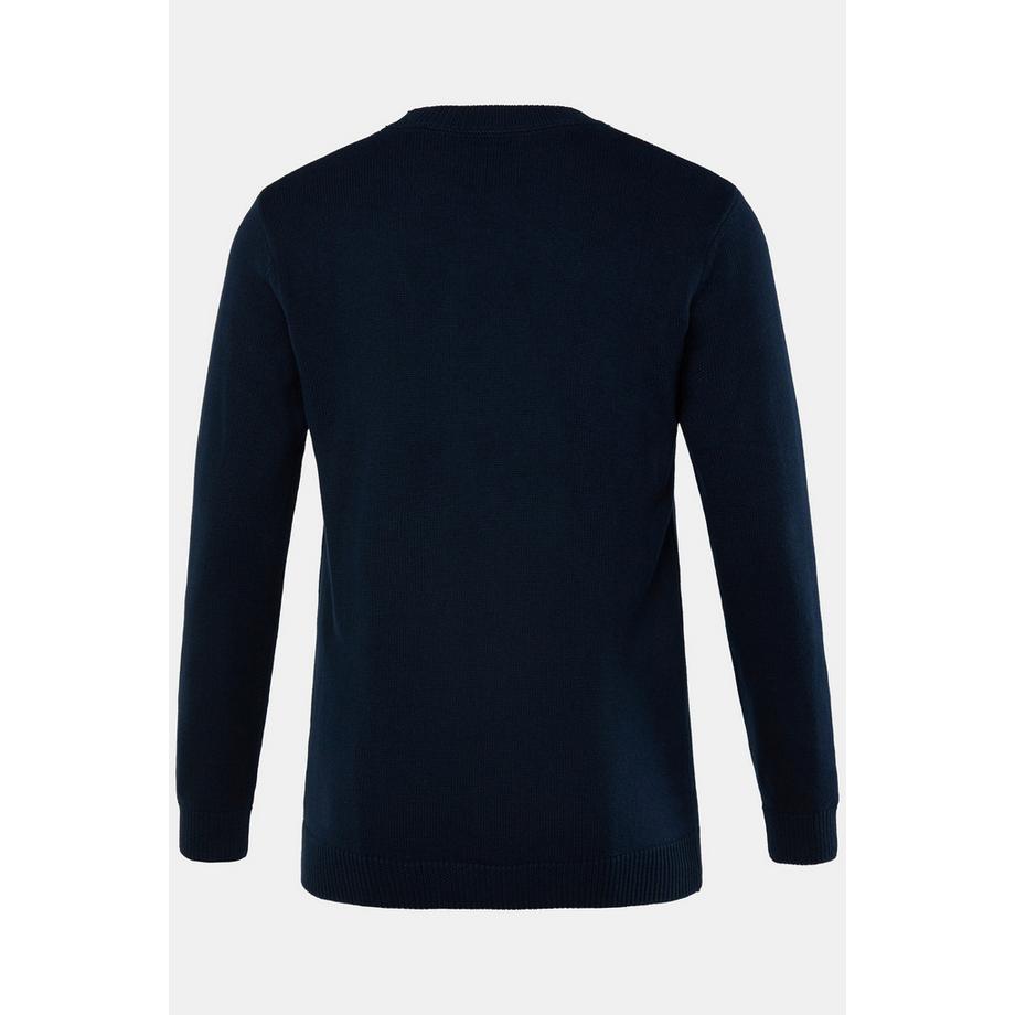 JP1880 Pull en pur coton motif brodé  