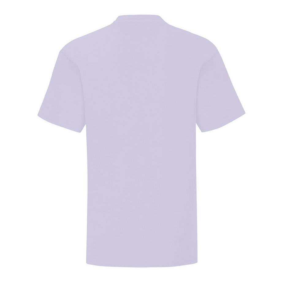 Fruit of the Loom  Iconic 150 TShirt 