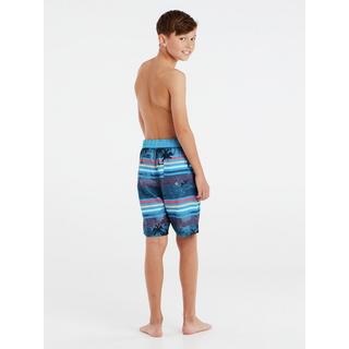 PROTEST  Jungen Badeshorts Prtjason DeepDive blu 