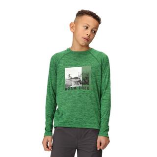 Regatta  Tshirt BURNLEE ROAM FREE Enfant 