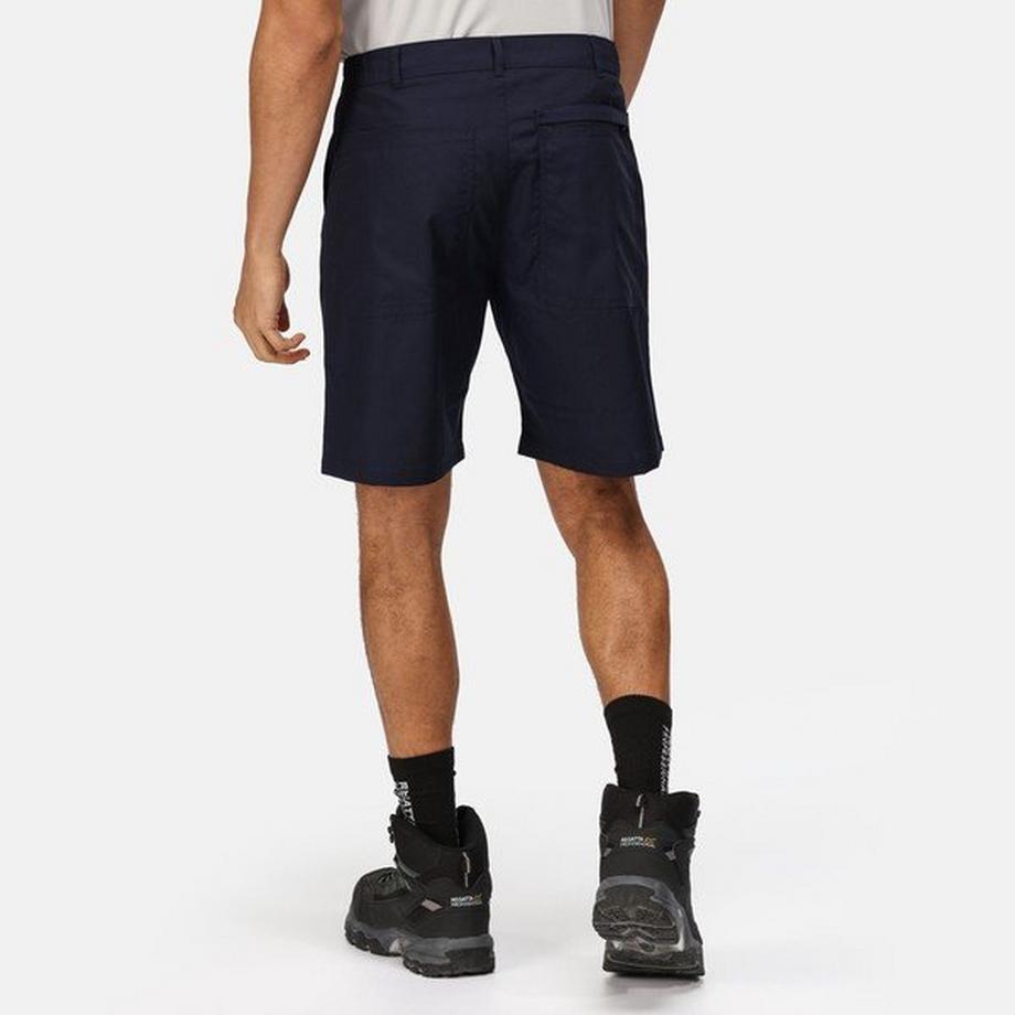 Regatta  Short 