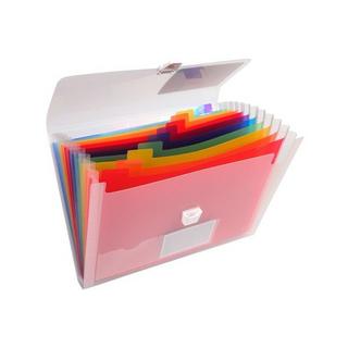 Exacompta EXACOMPTA Fächermappe Crystal A4 X55298E transparent, 13-teilig  