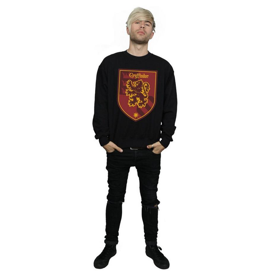 Harry Potter Felpa Gryffindor  